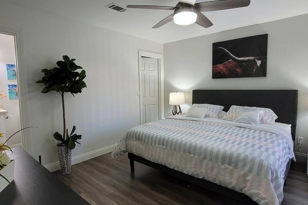 L - Fully Remodeled And Professionally Decorated Las Vegas Exterior foto